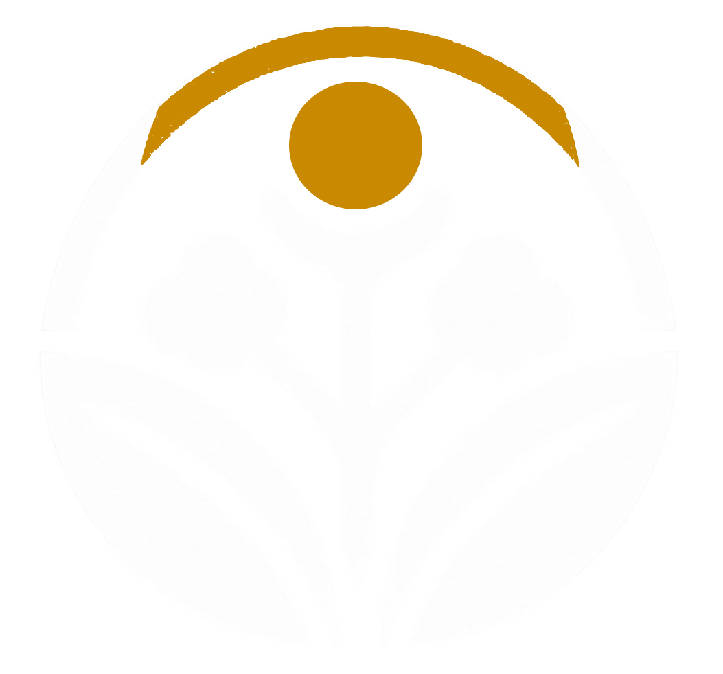 CAAO S.R.L. Logo